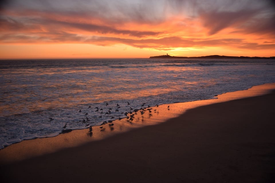 Beach