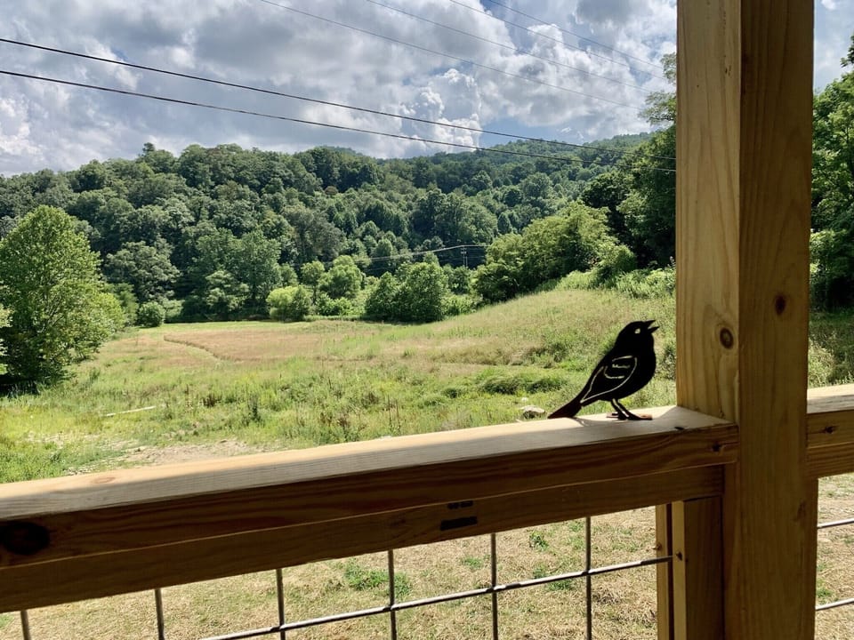 View from property