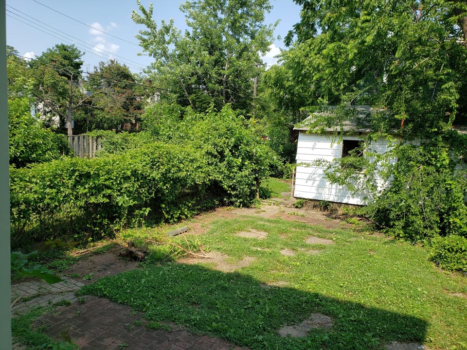 Huge backyard and driveway