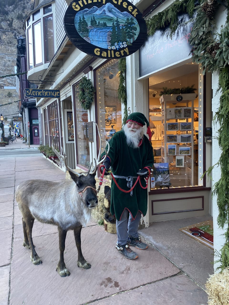 Christmas Reindeer