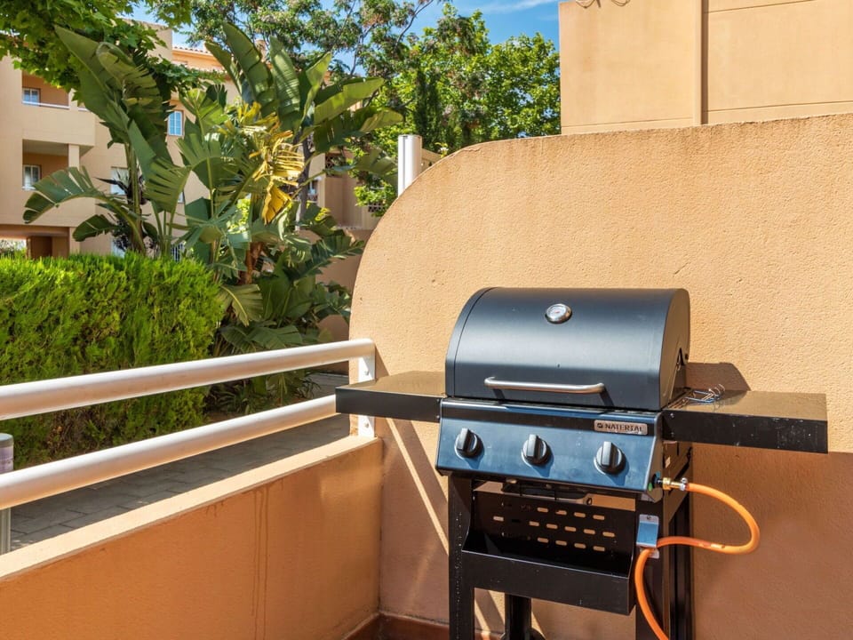 Plant, Kitchen Appliance, Gas Stove, Wood, Kitchen Stove, Home Appliance, Audio Equipment, Sky, Stove