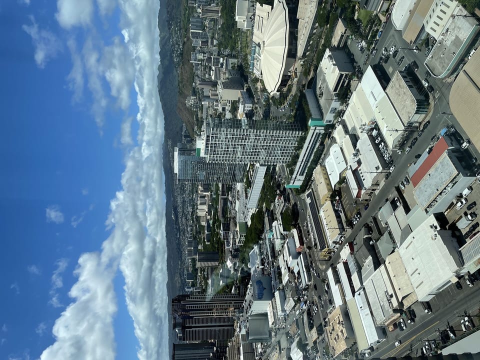 View out of the Master Bedroom, Blaisdell, Ko'olau Mountaing Range