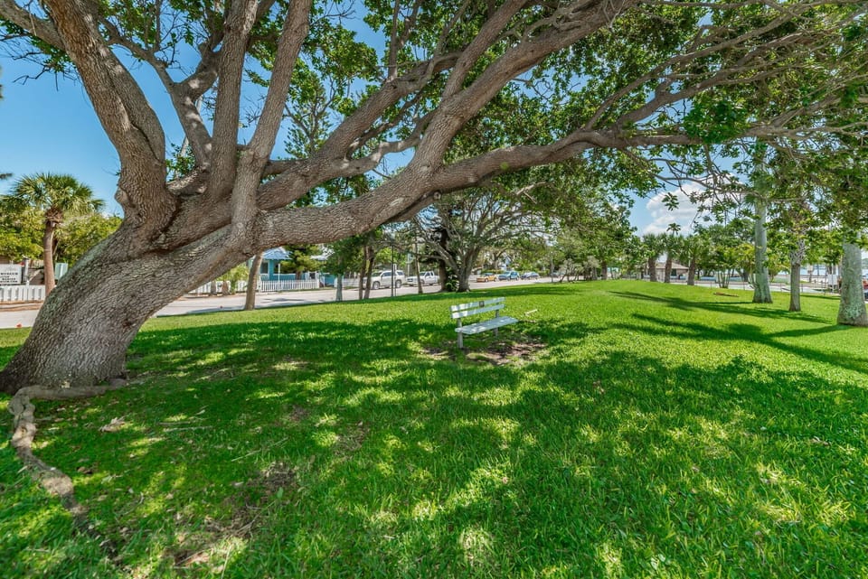 Enjoy some green space