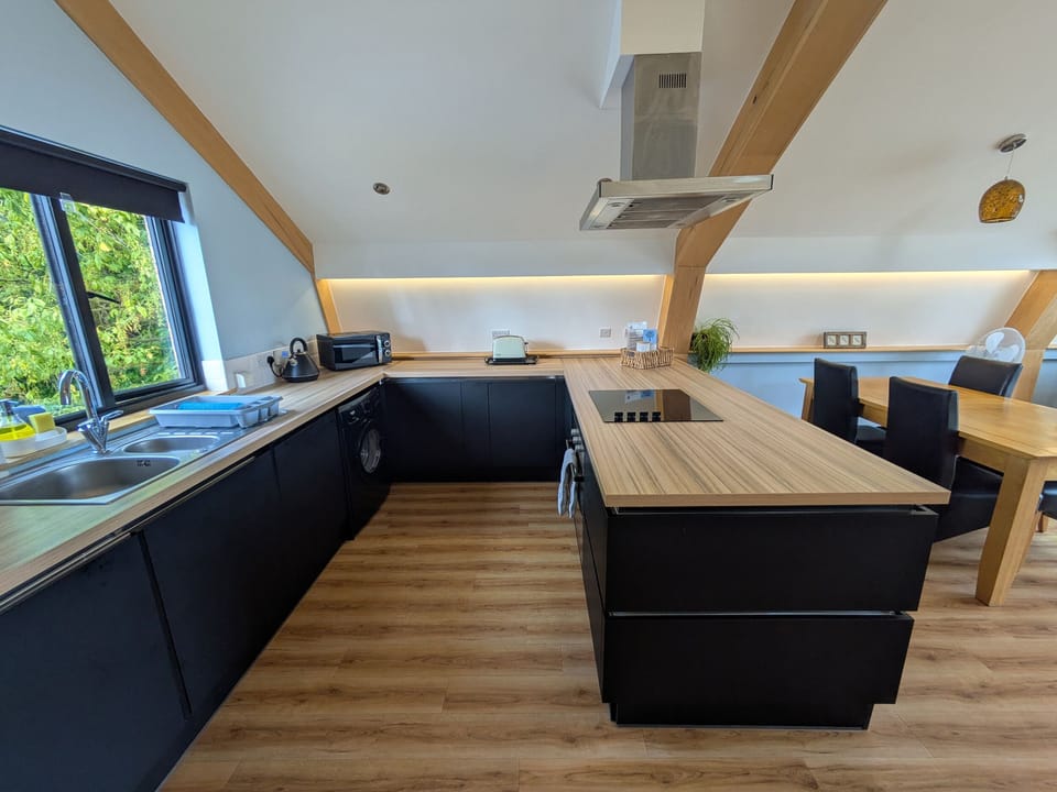 Fridge, microwave, dishwasher, electric kettle