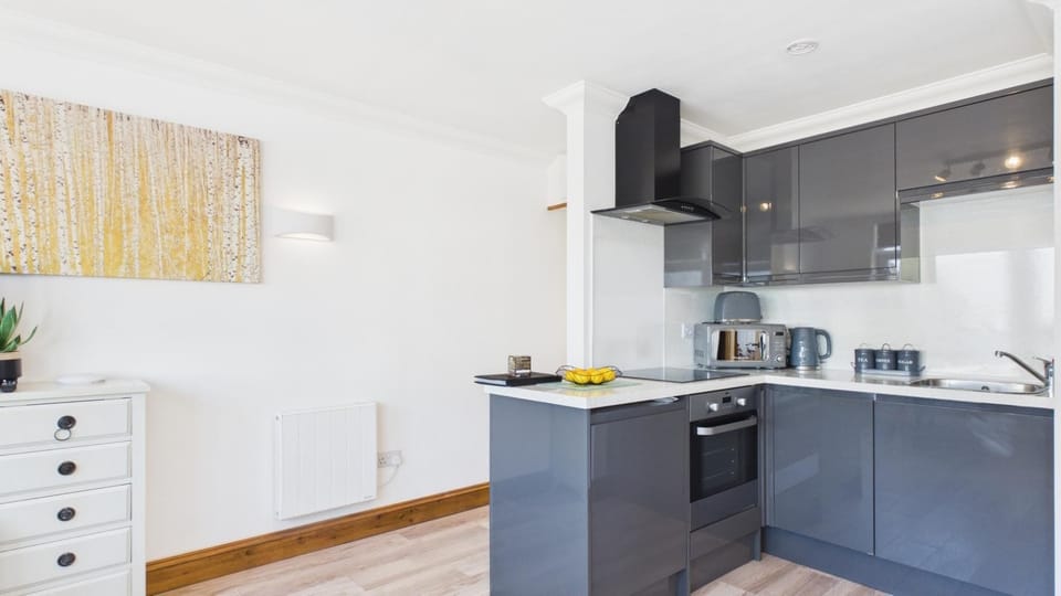Apartment (1 Bedroom) | Private kitchen | Fridge, microwave, oven, stovetop