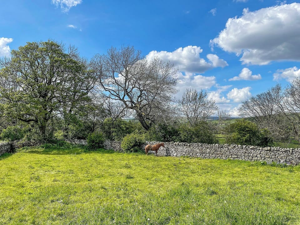 Very Large Garden Paddock | Glen Cottage, Mickleton, near Barnard Castle
