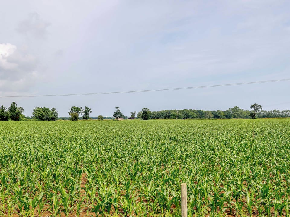 View | Cosyleigh, Ingham, near Stalham