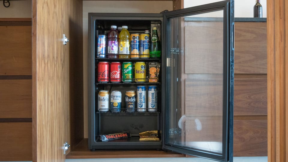 Mini-refrigerator