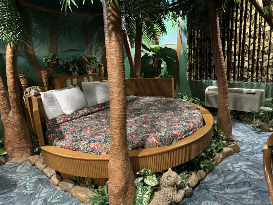 Rain Forest | Free WiFi