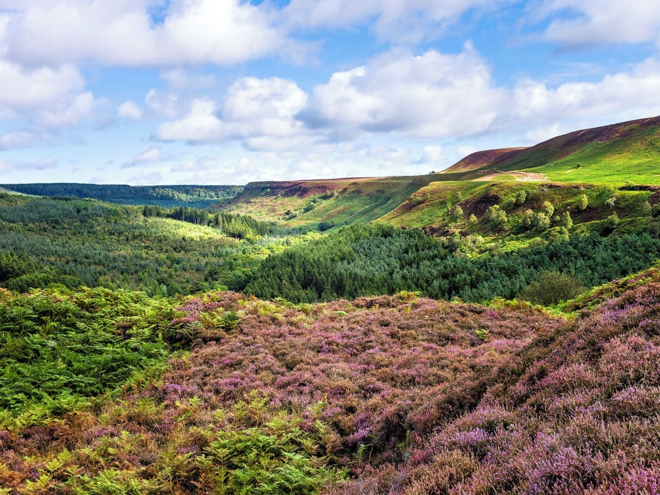 North Yorkshire Moors National Park