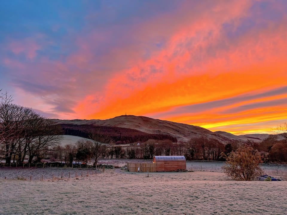 Setting | Bracken - Freedom Fields, Straiton, near Maybole