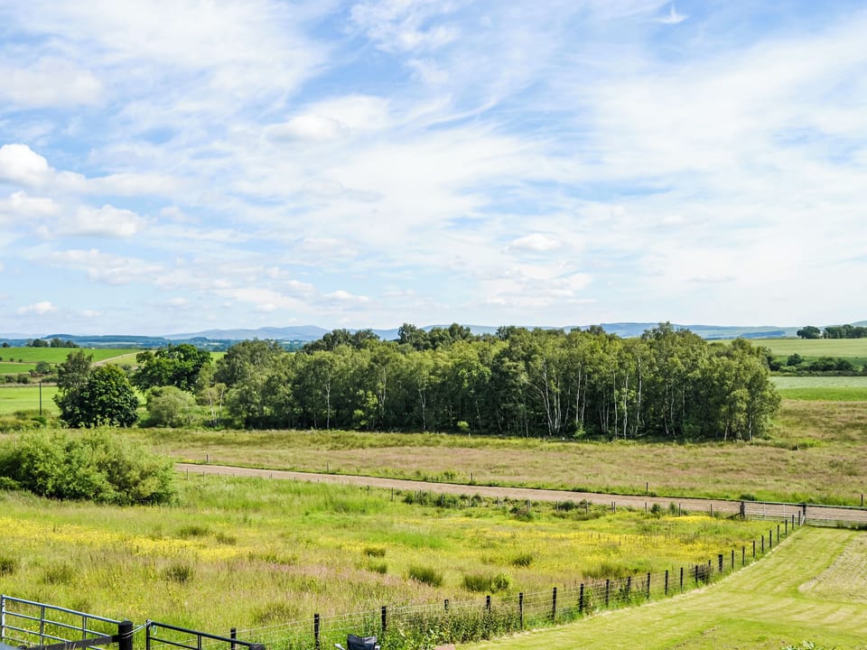 View | Gin Case, Gin Case