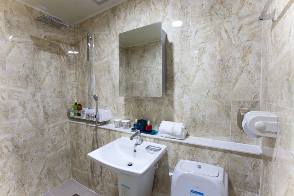 Shower, rainfall showerhead, hair dryer, slippers