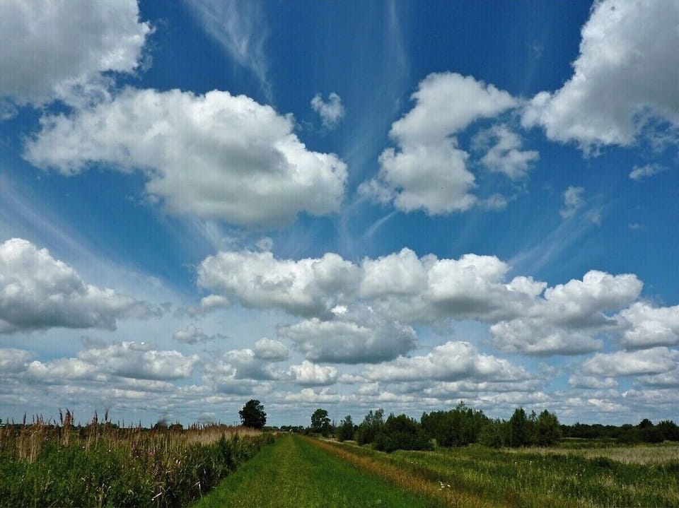 Big sky’s!