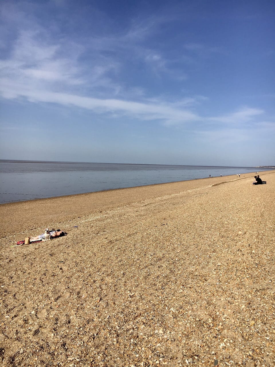 Half hour to North Norfolk beaches!