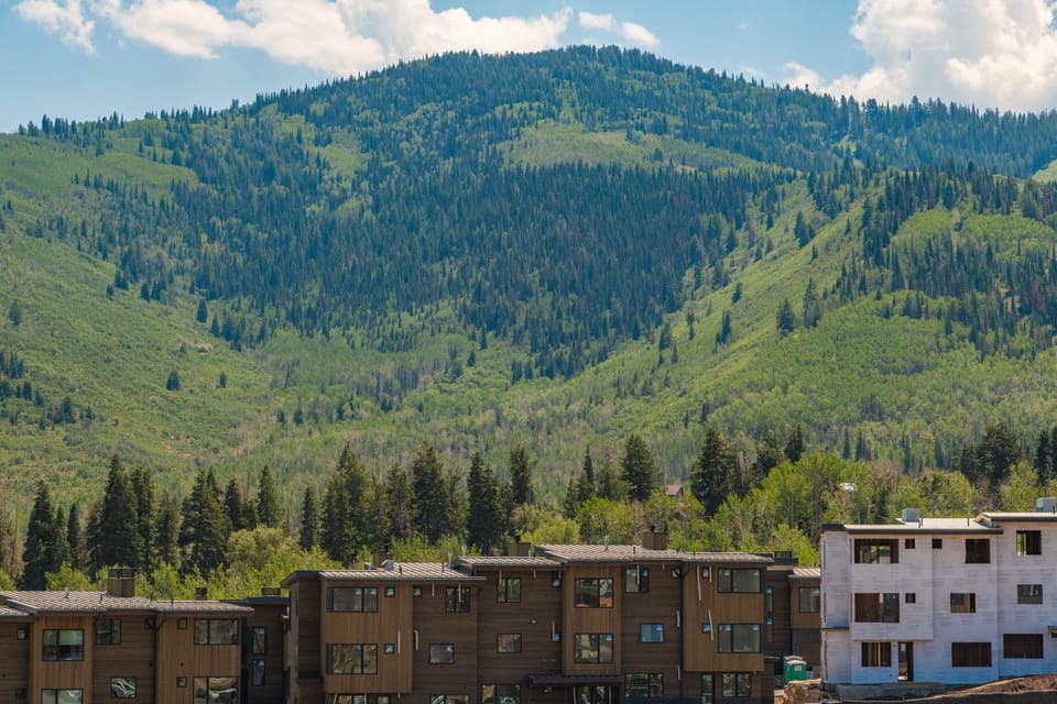 view
