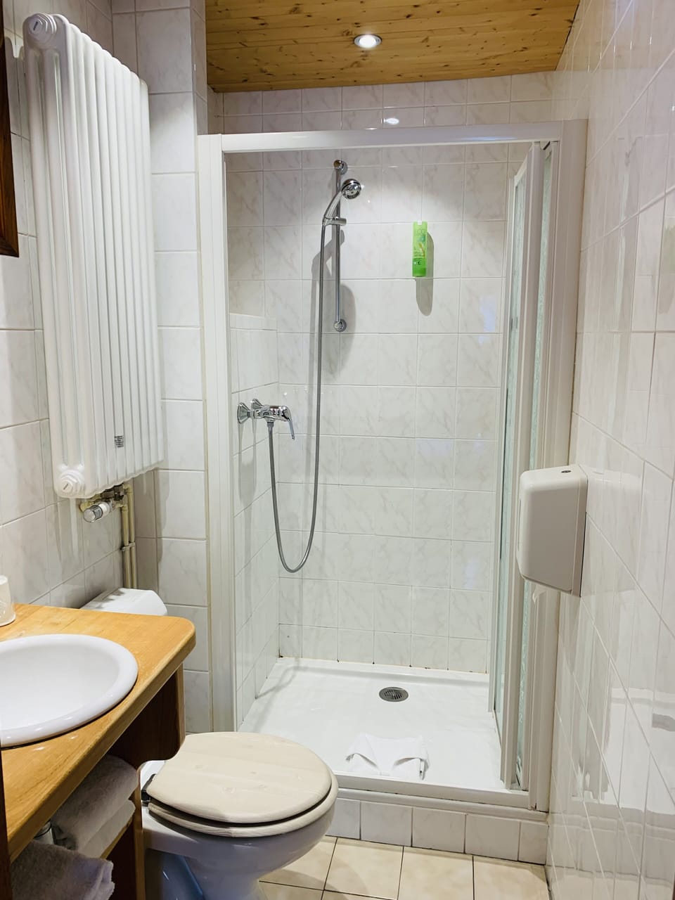 Shared Dormitory | Bathroom | Free toiletries, hair dryer, towels, soap