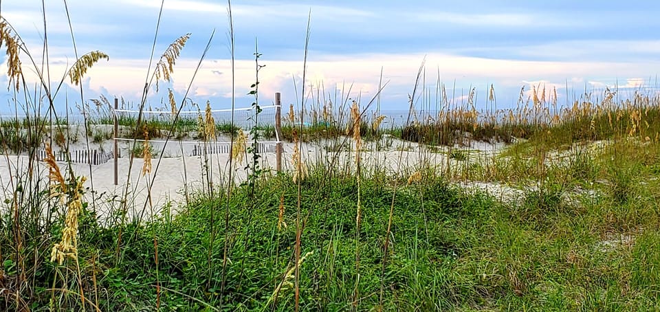 You won't stop taking pictures of the beautiful beach dunes at HHB&T Resort.
