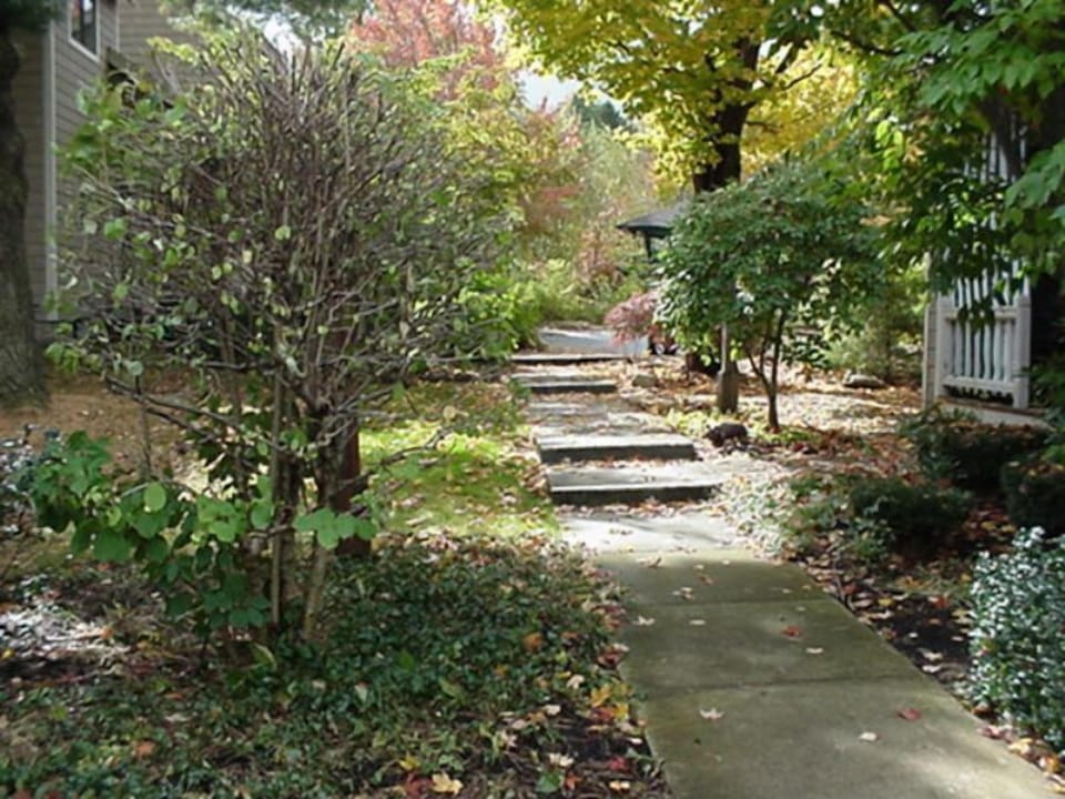 Sidewalk View from Front of Unit