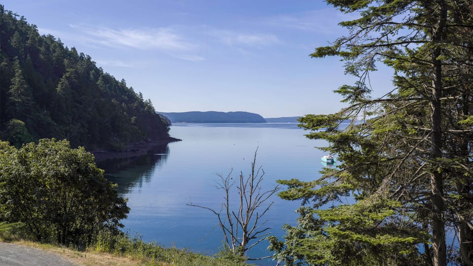 310-1503 Ocean Mist Way - Orcas Island Washington - 09