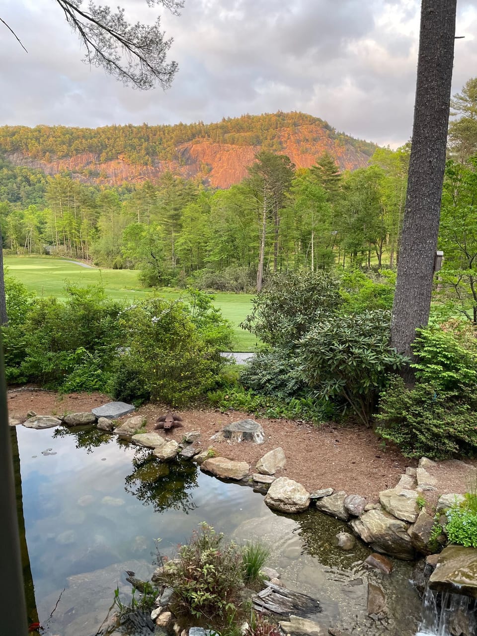View from property