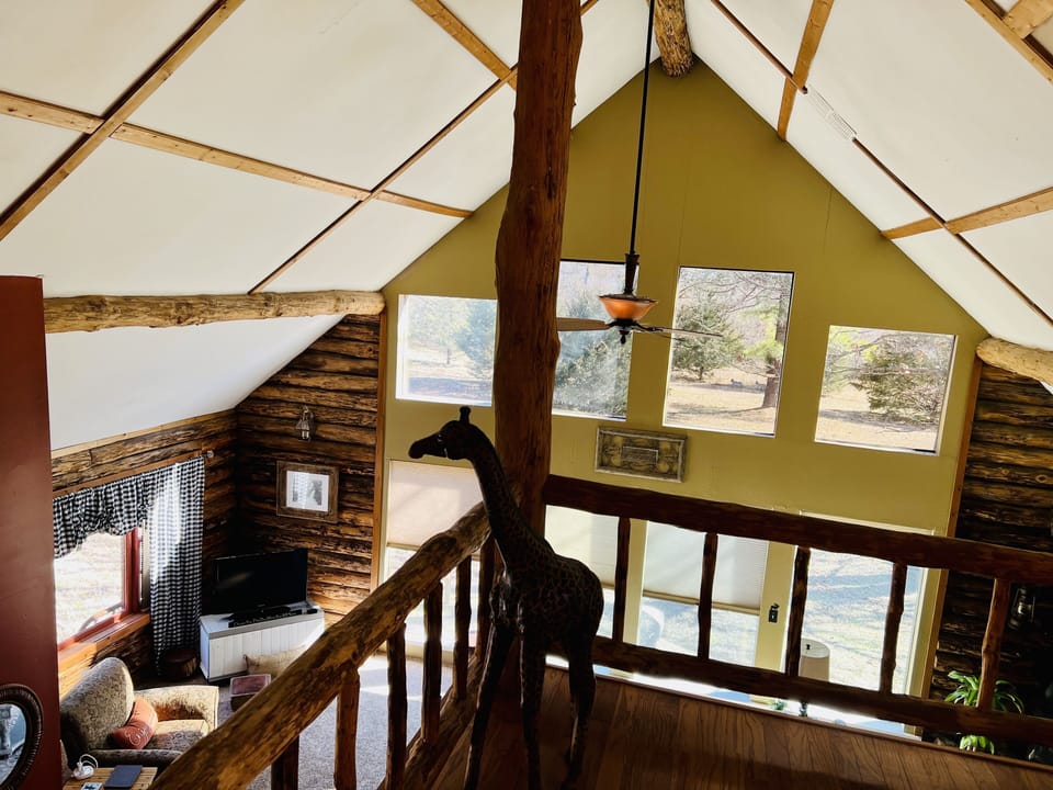 Enjoy the view🇺🇸