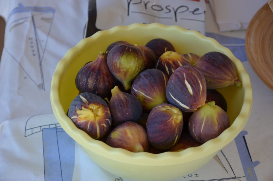 FIGS IN AUGUST