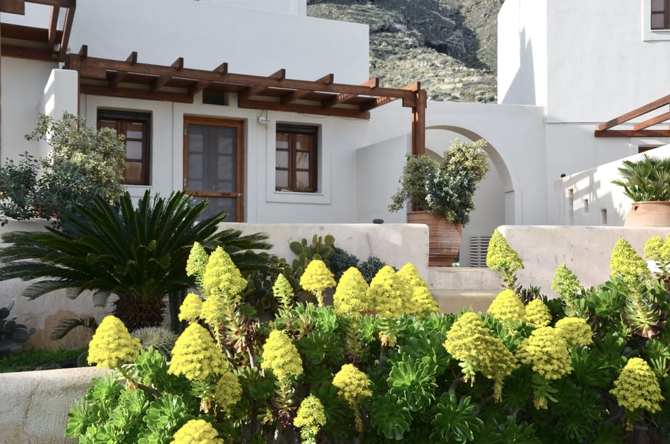 THE PATIO