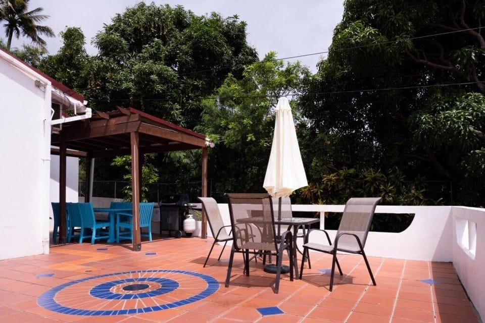 BBQ and deck area