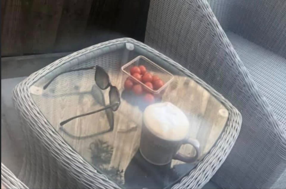 enjoying the sunshine