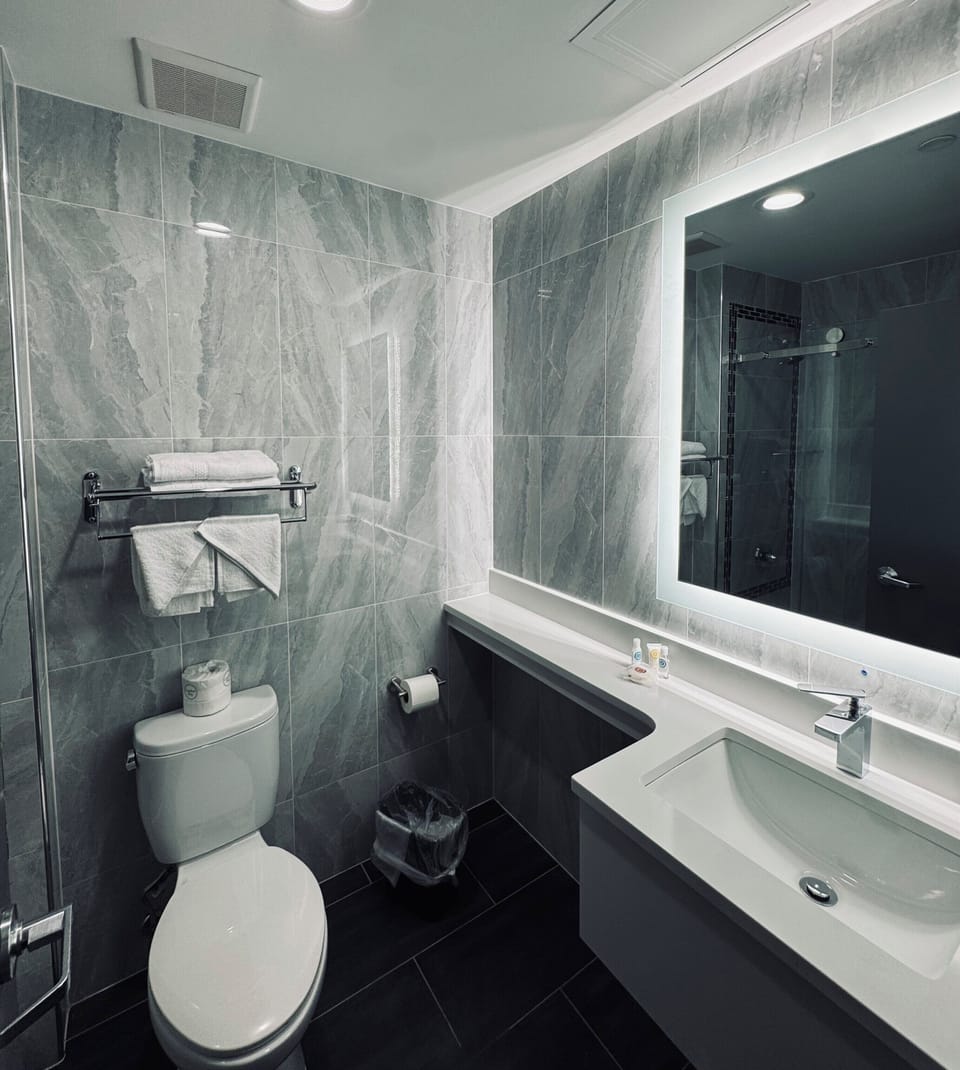 Shower, free toiletries, hair dryer, towels