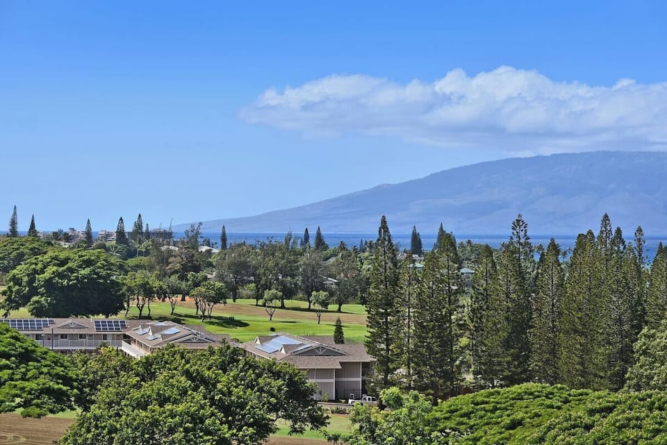 Molokaʻi and island views framed by palms and Kapalua greenery.