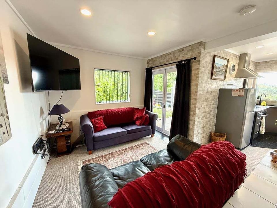 Relaxed downstairs living area with smart TV and natural light