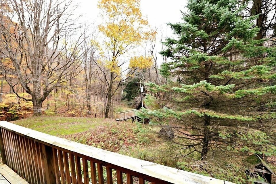 View from Back Deck
