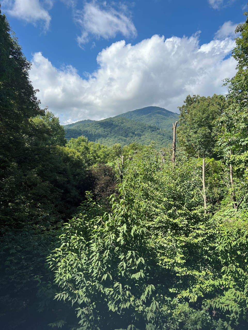 View from the side deck.