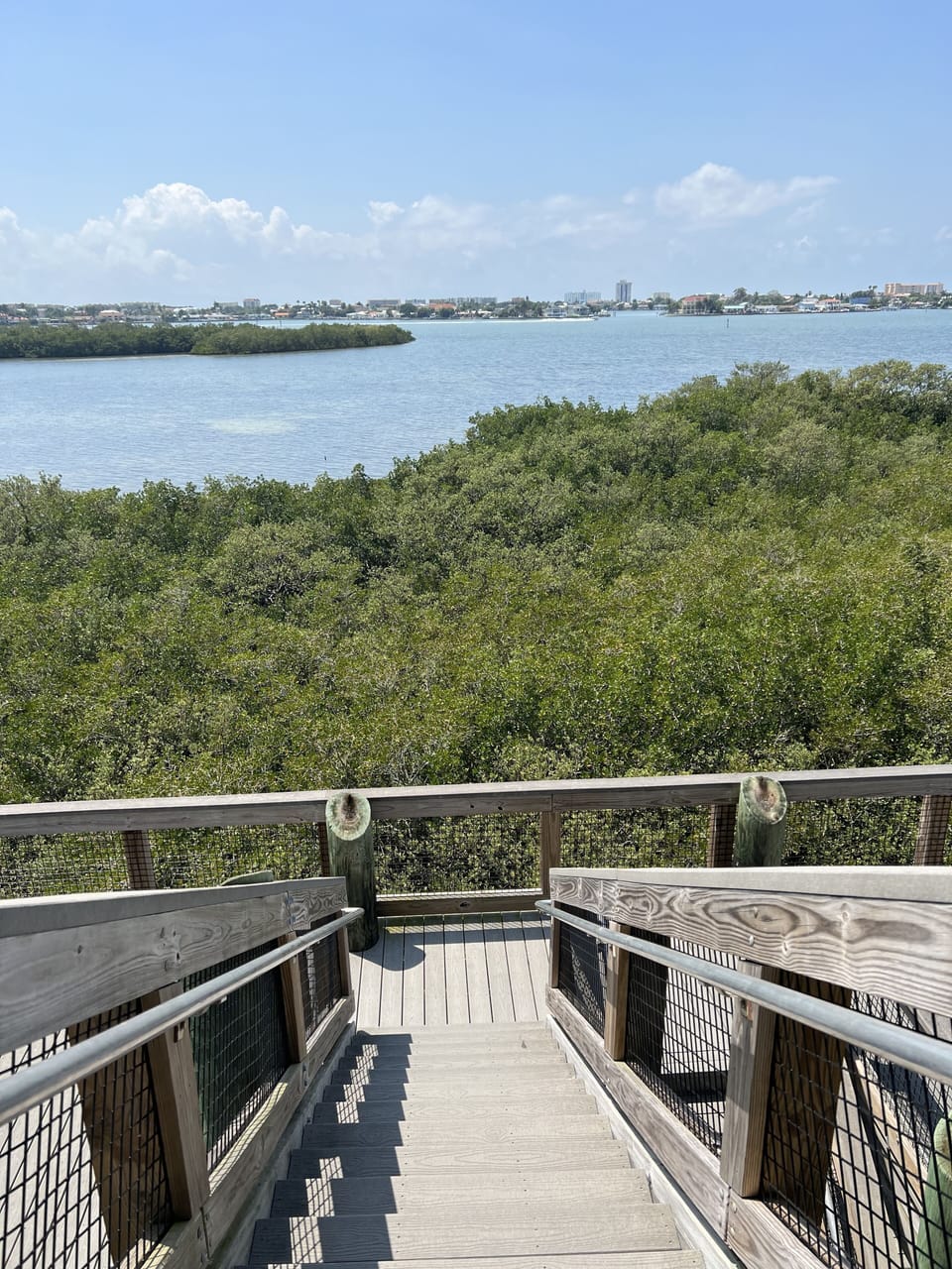 View from property
