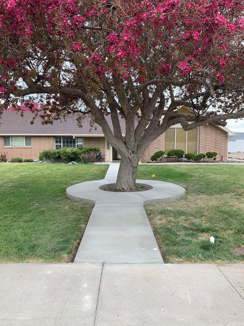 Circle Tree Hideout.