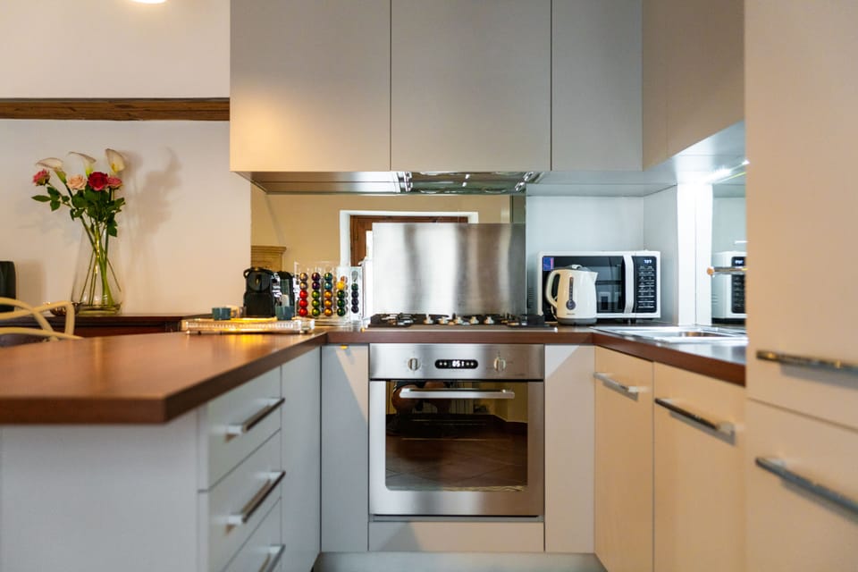 Exclusive Apartment, 2 Bedrooms, City View | Private kitchen | Full-size fridge, microwave, oven, stovetop
