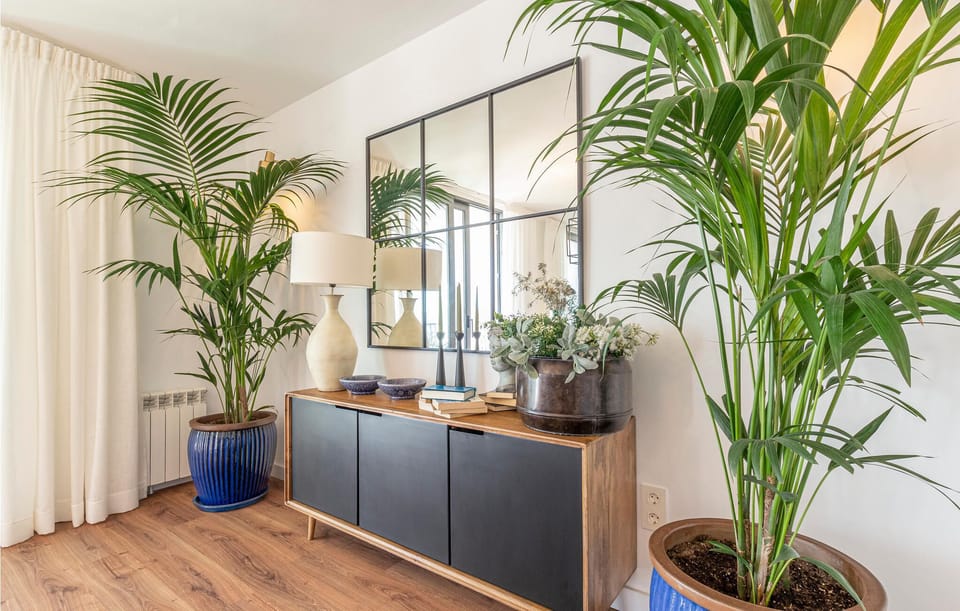 living-room