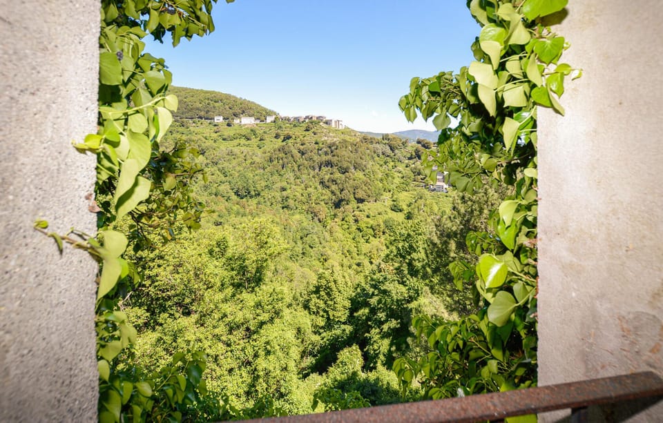 view-from-room