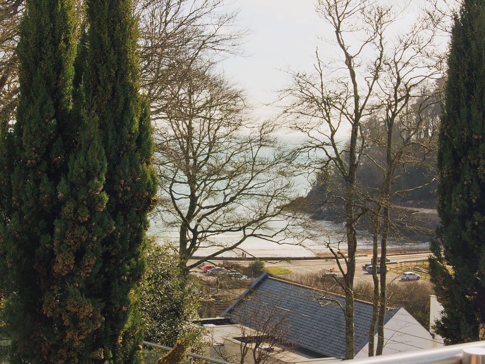 View | St Elmo&rsquo;s LodgeFlat 1, Salcombe