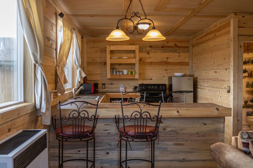 Cabin, Fireplace, Lake View | Private kitchen | Fridge, microwave, coffee/tea maker