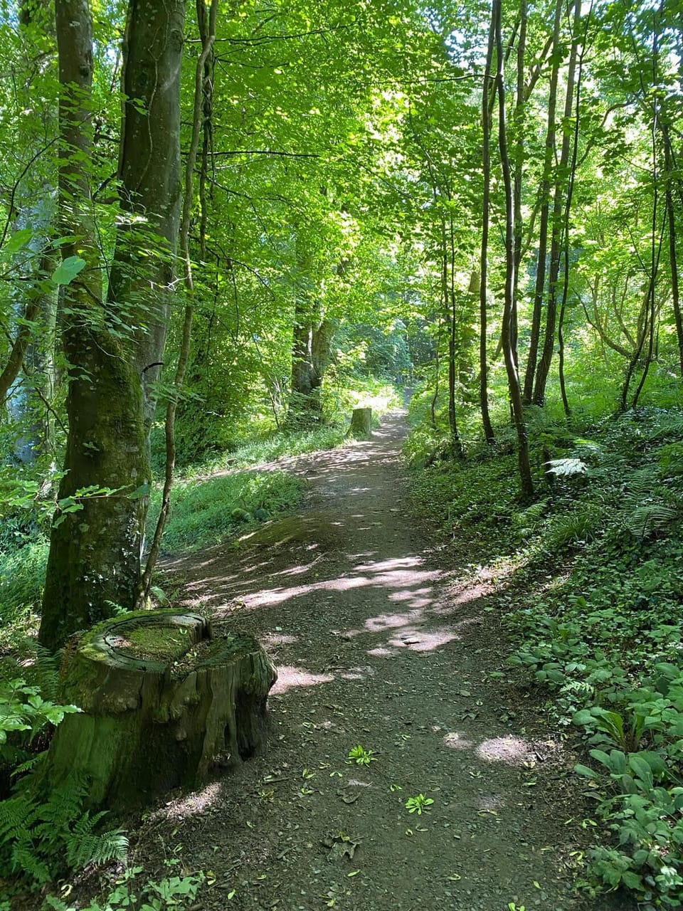 Britain’s most beautiful coastal walks right on your doorstep.