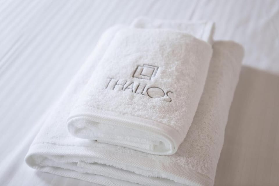 Deluxe Suite | Desk, soundproofing, free WiFi, bed sheets