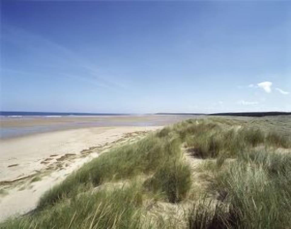 Holkham beach