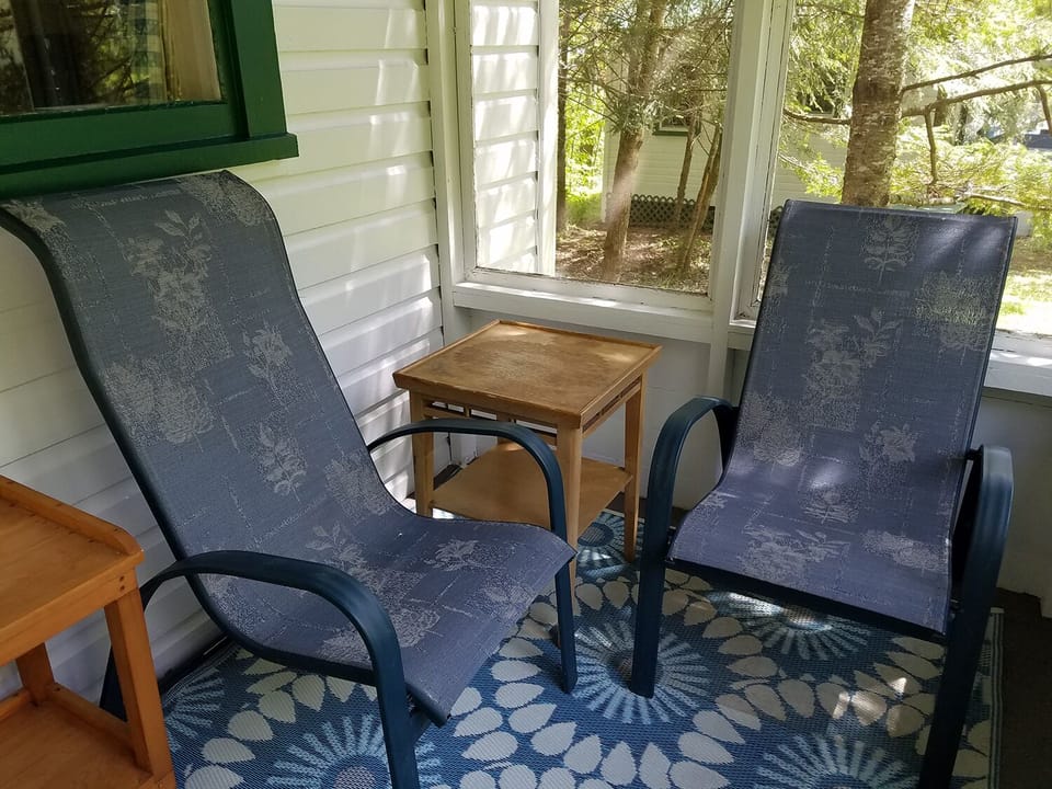 Screened in proch - cabin 3