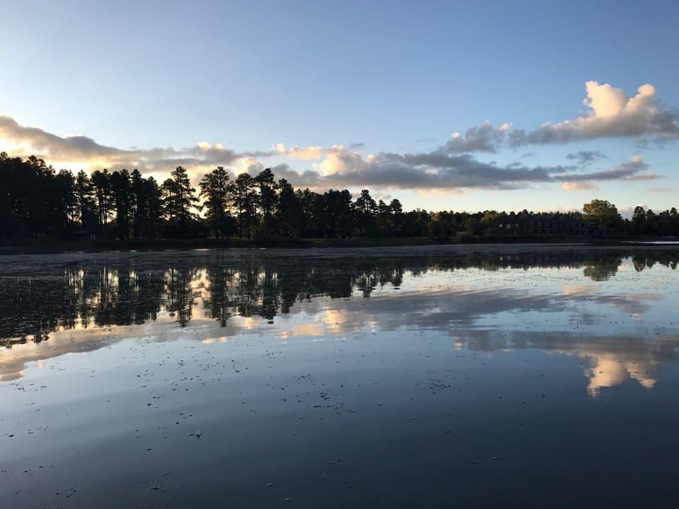 View from property