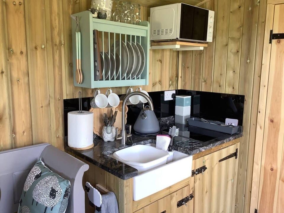 Cabin | Private kitchen | Fridge, microwave, stovetop, electric kettle