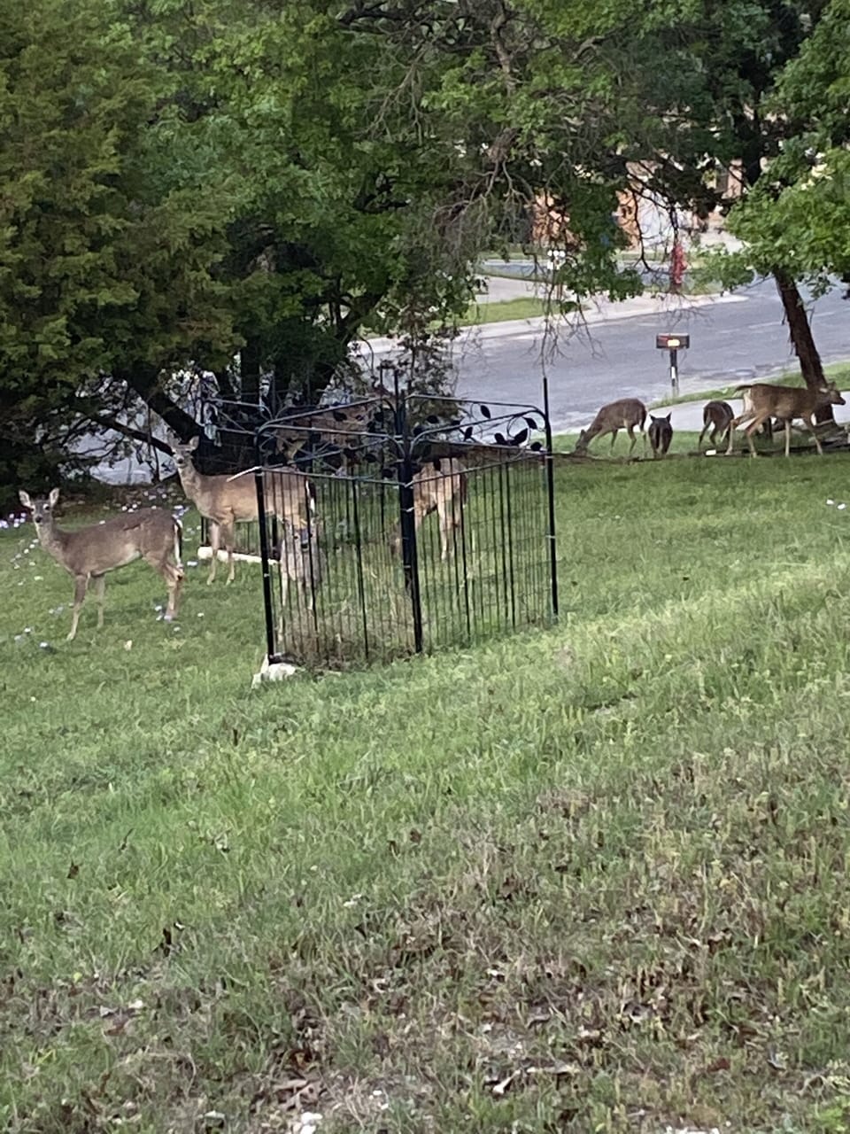 Property grounds
