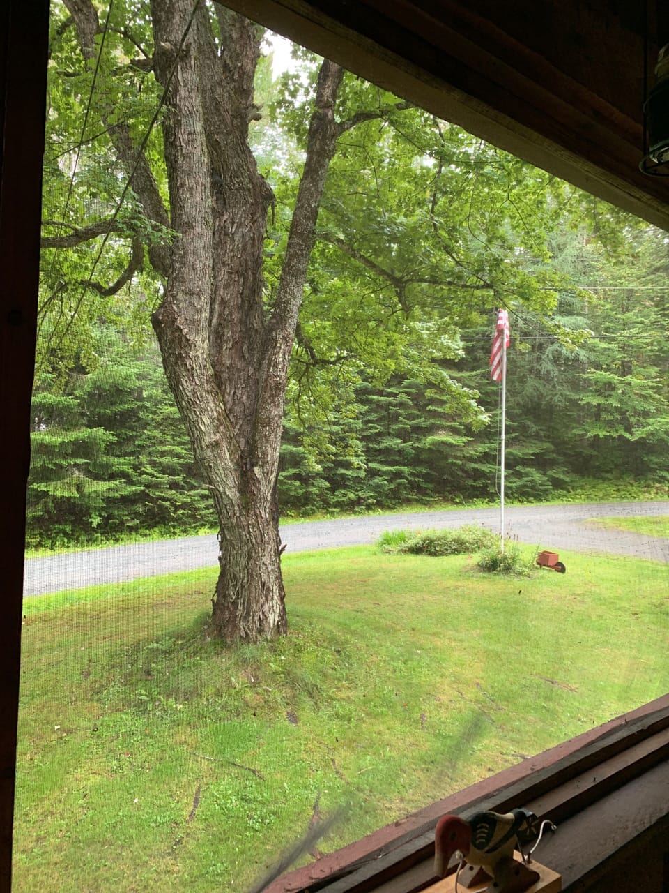 View from property